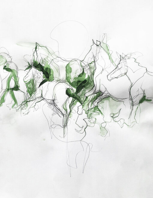 This s a equine drawing on paper with several horses galoping and ready to fly. green ink equine art