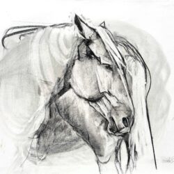 cheval inspiration sensibilité émotion portrait