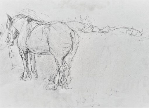 equestrian art equine art draft horses cheval de trait art équestre