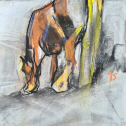 cheval dessiné de dos horse seen from behind