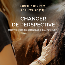 se reconnecter à ses sensations en présence des chevaux