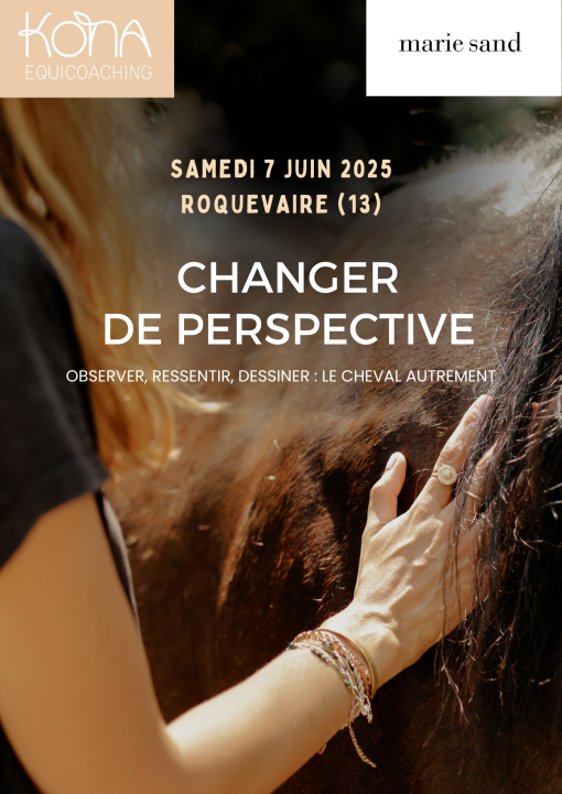 se reconnecter à ses sensations en présence des chevaux